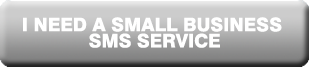 Small Business SMS Service