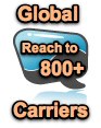 Global reach to over 800 carriers